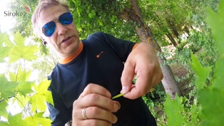 Свисток из ничего