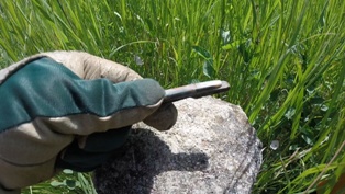 Пинпойнтер WHITES — обзор