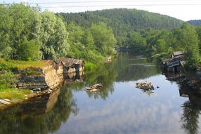Донорский значок