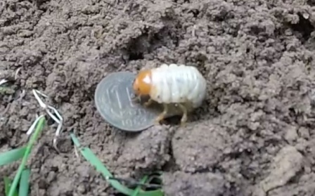 Серебро на старой дороге