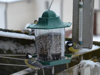 Долгая зима