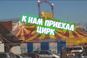 Закулисье цирка