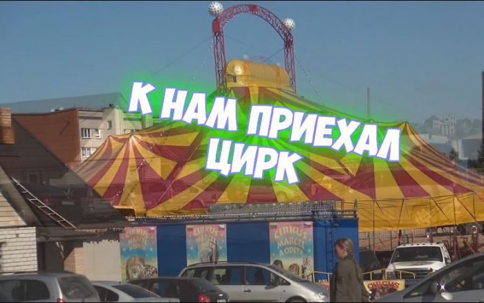 Закулисье цирка