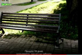Свистуны…