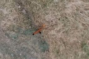 Серьёзный полёт, серьёзное падение