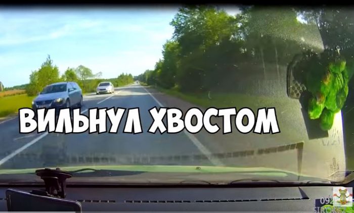 Шкода на хвосте