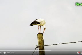 Зарисовки дня