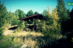 Молочная империя в 2018