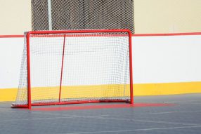 Все на коньки… летом.