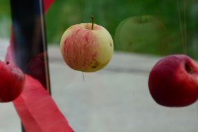 Снова в школу