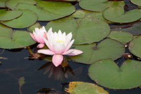 Сентябрьское воскресенье