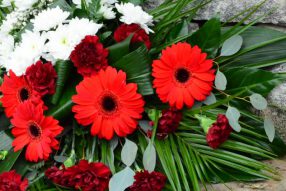 18 Ноября — как прошёл день …