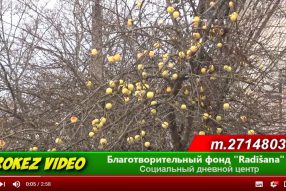 Из рук в руки