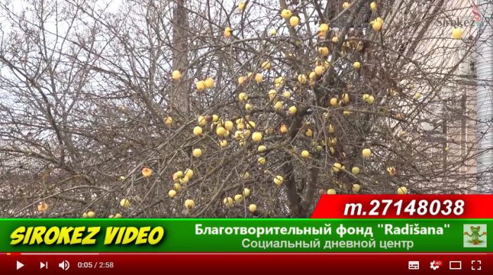 Из рук в руки