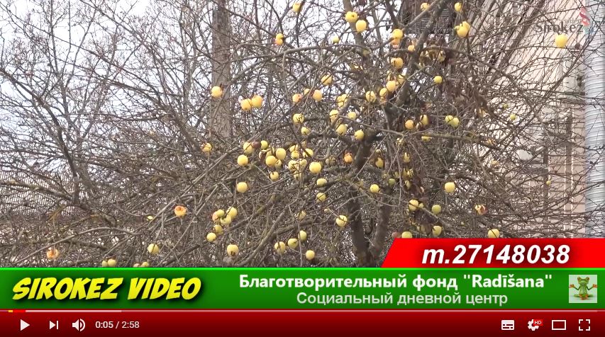 благотворительность