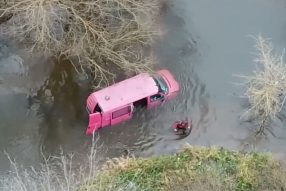 Розовый фламинго… сорри , Volkswagen