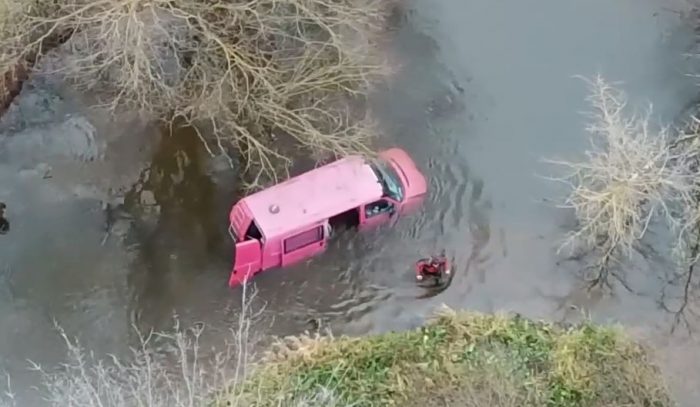 Розовый фламинго… сорри , Volkswagen