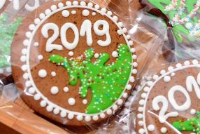 Ёлки в тумане