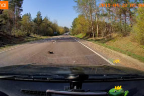 Дорожные зарисовки