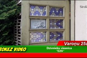 С кем оставить животное ?