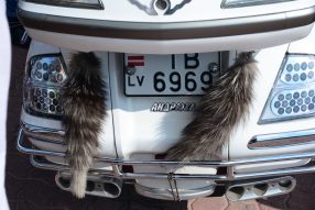 Лудза подверглась нашествию