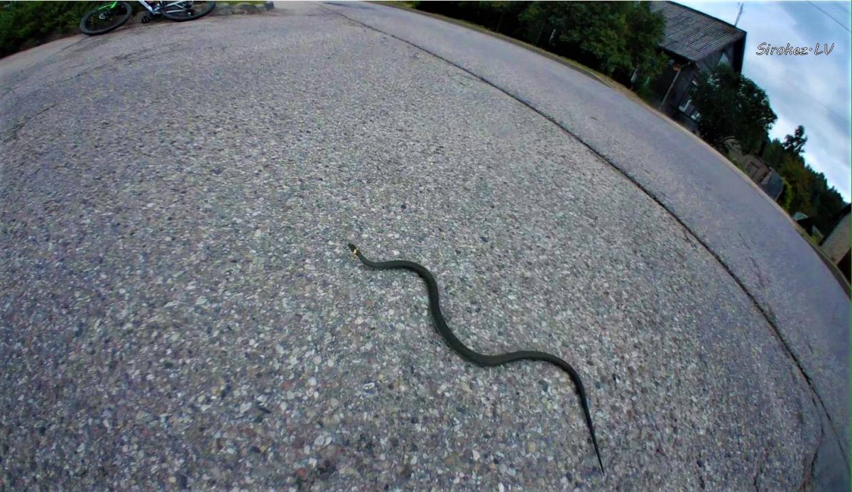 30 км обзорная поездка