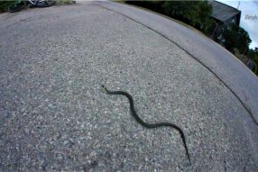 30 км обзорная поездка