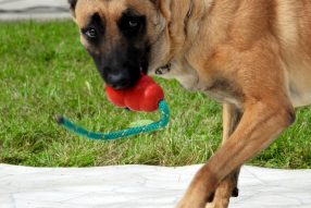 Снова в школу