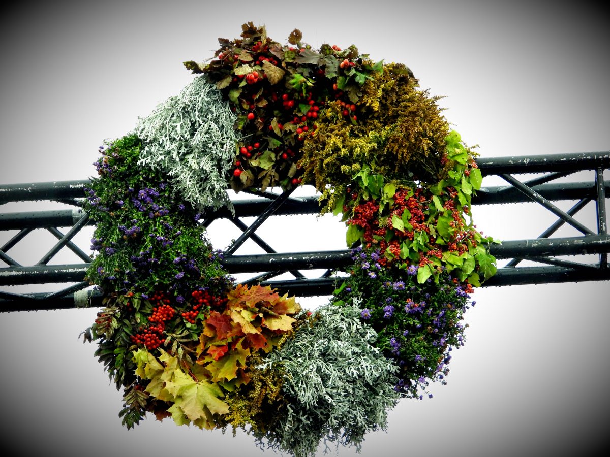 День микелиса