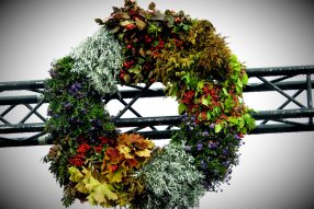 Осенняя радость