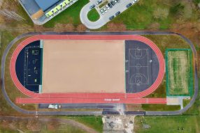 А деревья жаль…