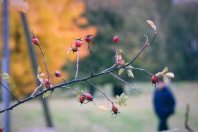 Начало октября