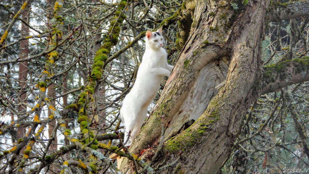 Чем заняться в субботу ?