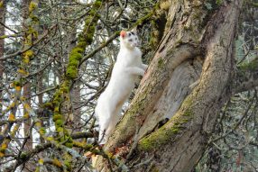 Чем заняться в субботу ?