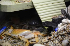 9 месяцев спустя