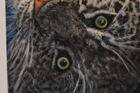 Большие кошки в малом формате