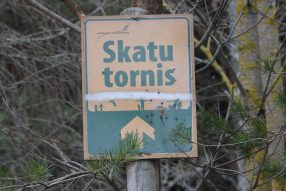 Первый день 2020-го прошёл не без сюрпризов