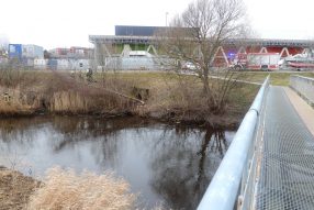 Гретта в чём -то всё таки права