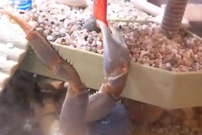 Ответы на Ваши вопросы.