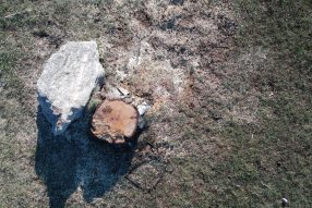 Самый страшный вирус на планете Земля