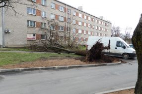 Ветрено в городе в апреле