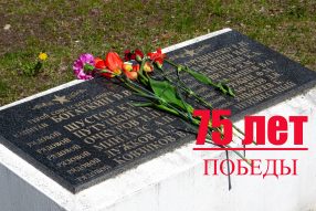 75 лет капитуляции фашистской Германии. 8-9-е МАЯ 2020