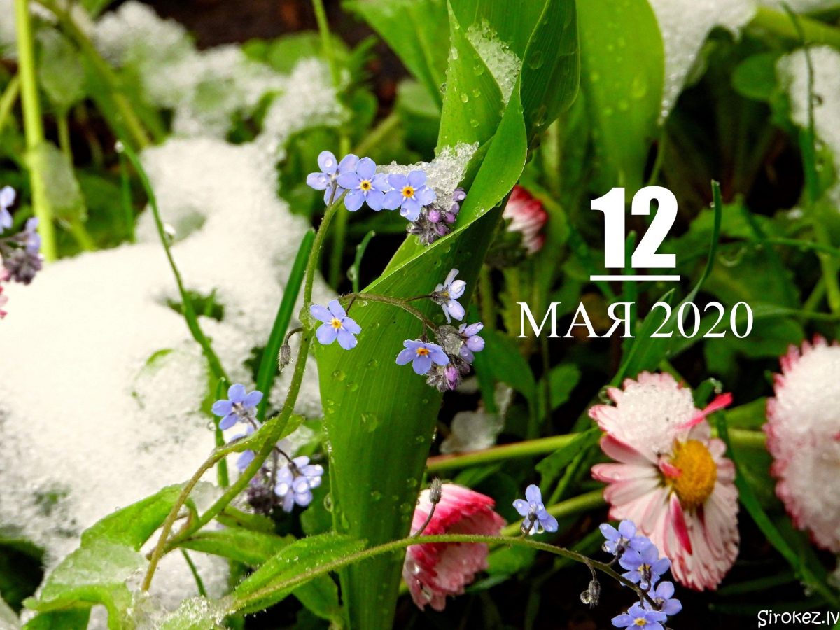 12 мая 2020