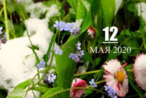 У природы нет плохой погоды