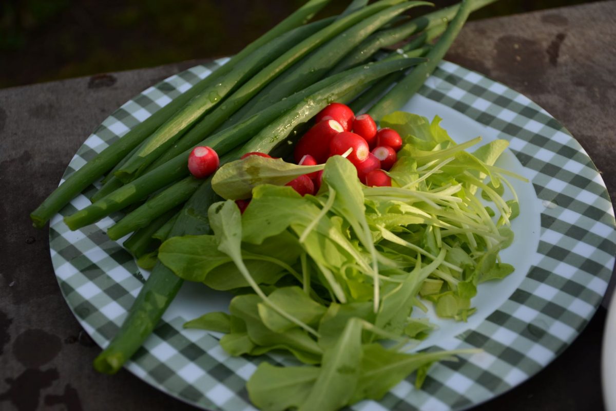 Чистая еда это всегда актуально