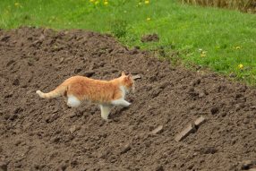 ГЭС в 360 градусов