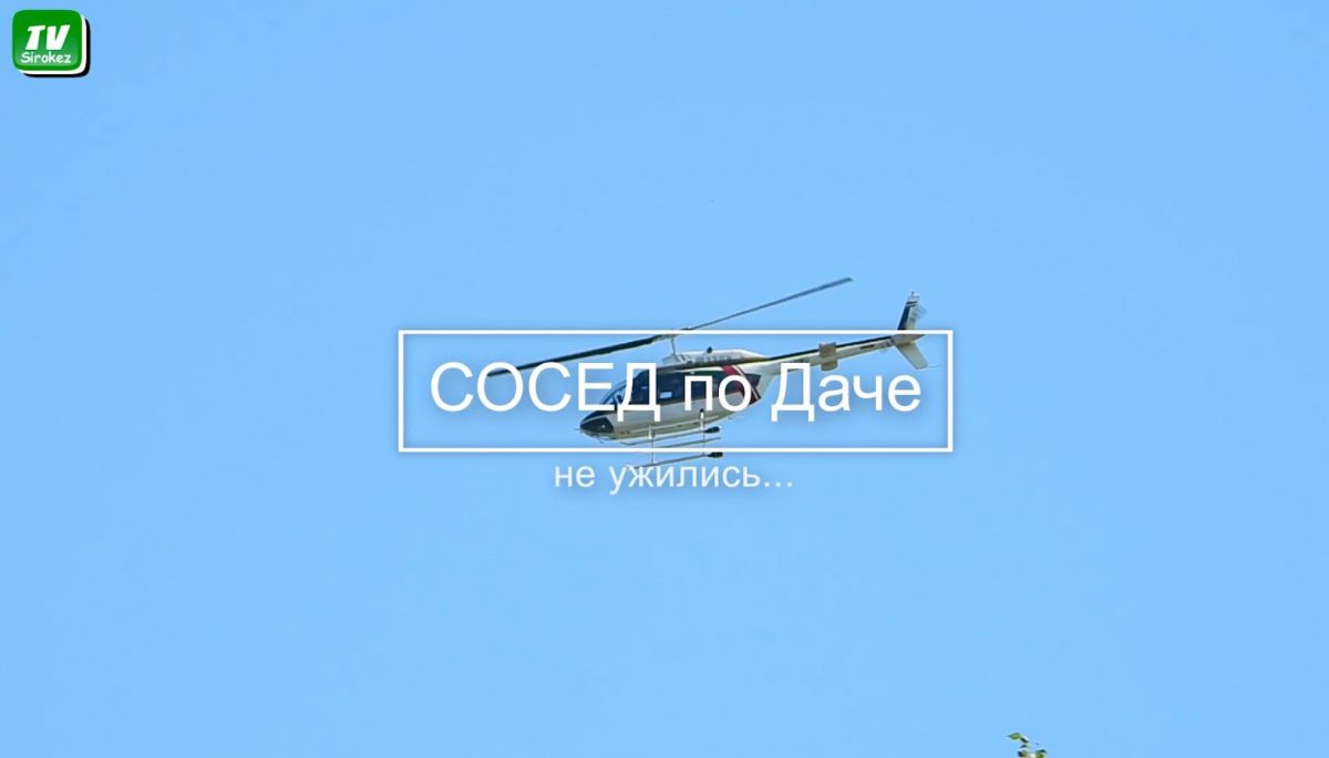 сосед
