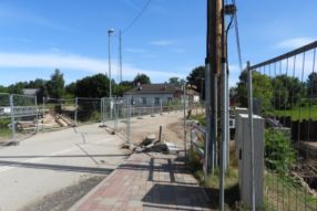 Зельём поросло