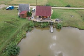 Гнездо трясогузки прямо в поле