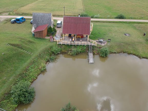 Гнездо трясогузки прямо в поле